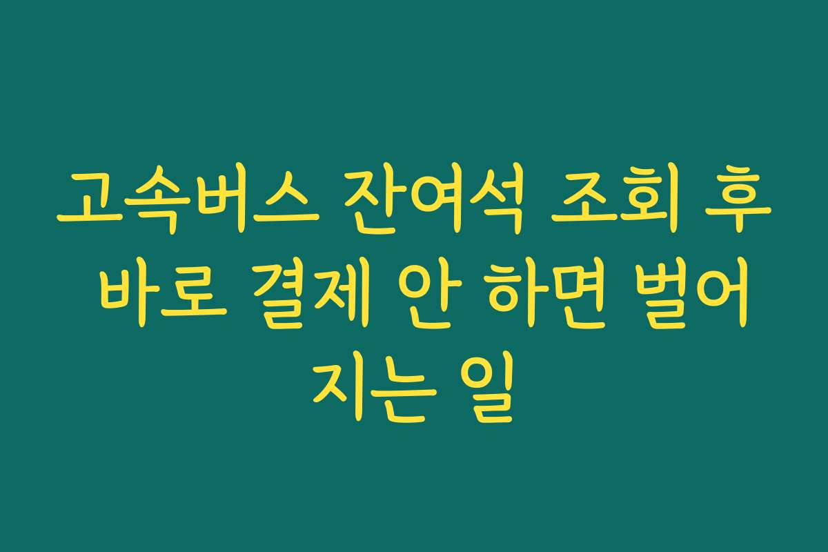 고속버스 잔여석 조회 후 바로 결제 안 하면 벌어지는 일
