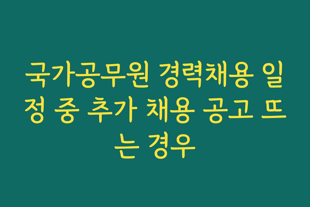 국가공무원 경력채용 일정 중 추가 채용 공고 뜨는 경우