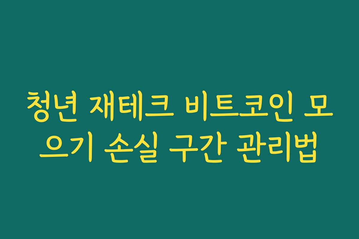 청년 재테크 비트코인 모으기 손실 구간 관리법