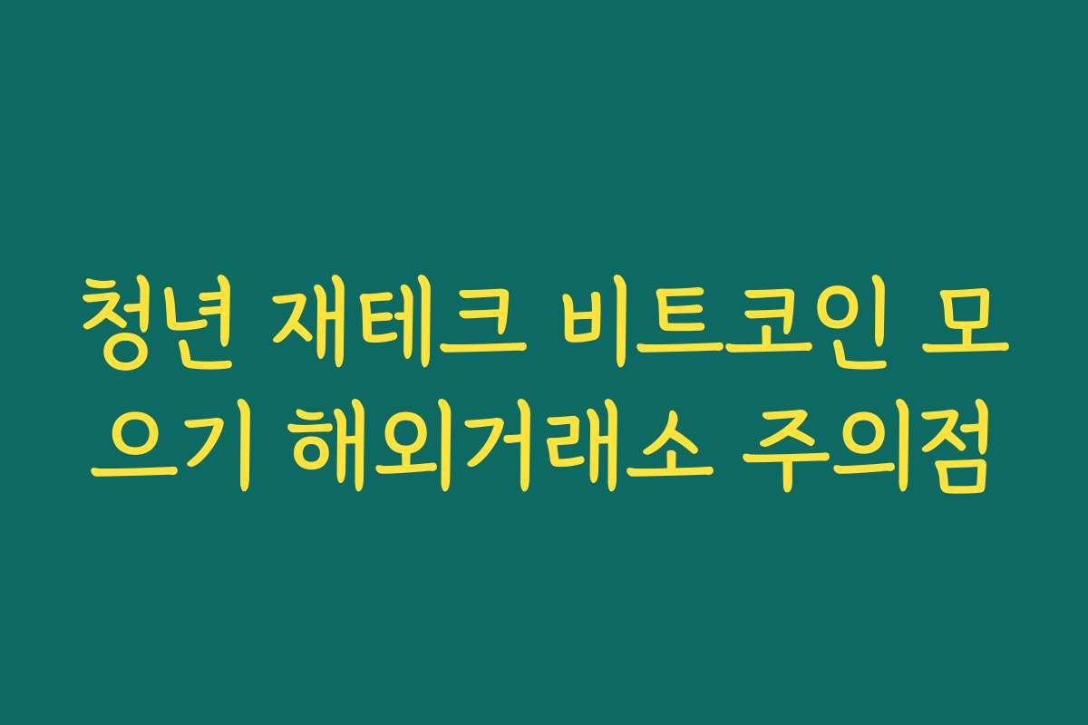 청년 재테크 비트코인 모으기 해외거래소 주의점