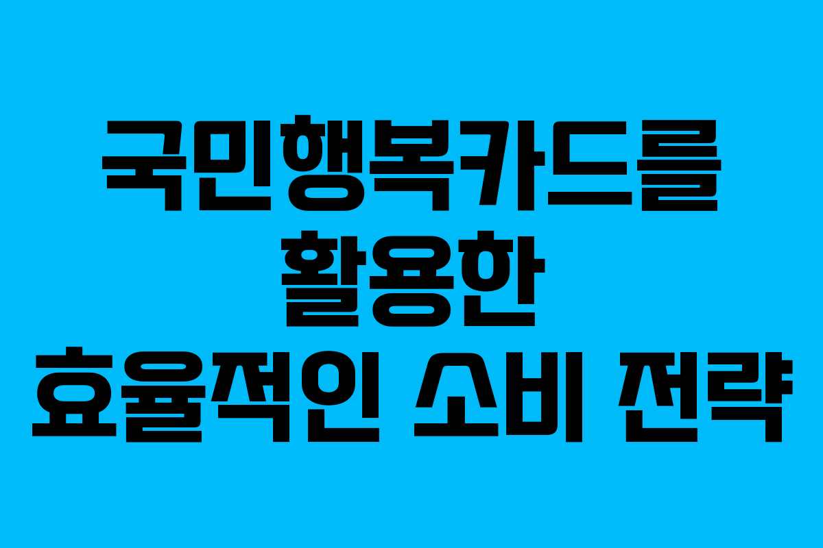 국민행복카드를 활용한 효율적인 소비 전략