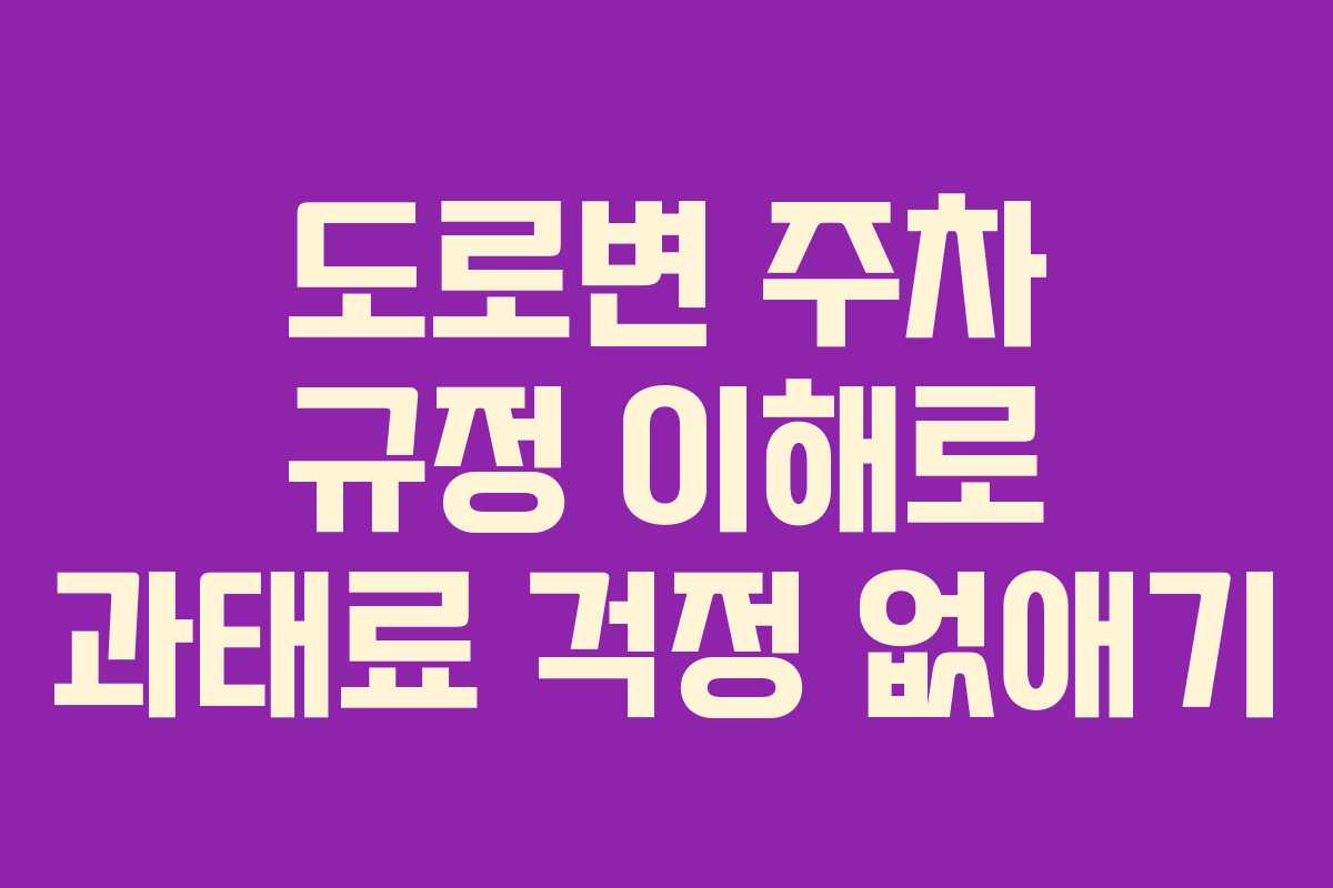 도로변 주차 규정 이해로 과태료 걱정 없애기