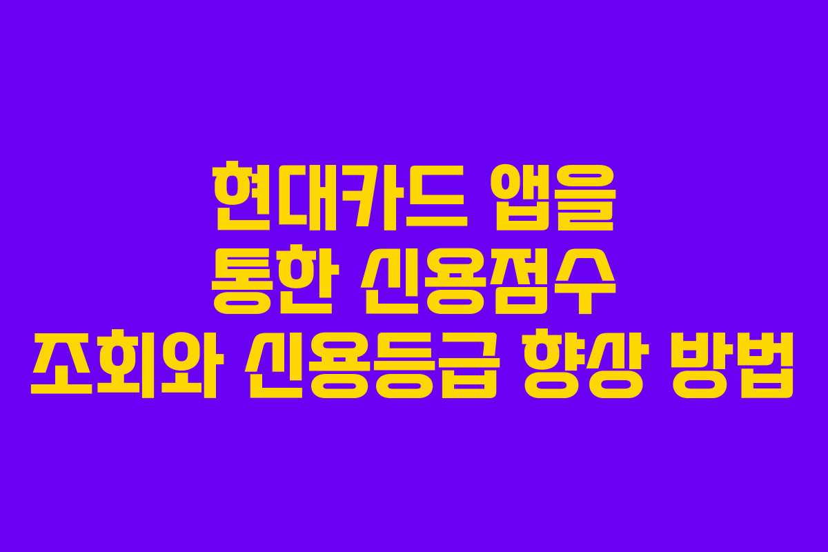 현대카드 앱을 통한 신용점수 조회와 신용등급 향상 방법