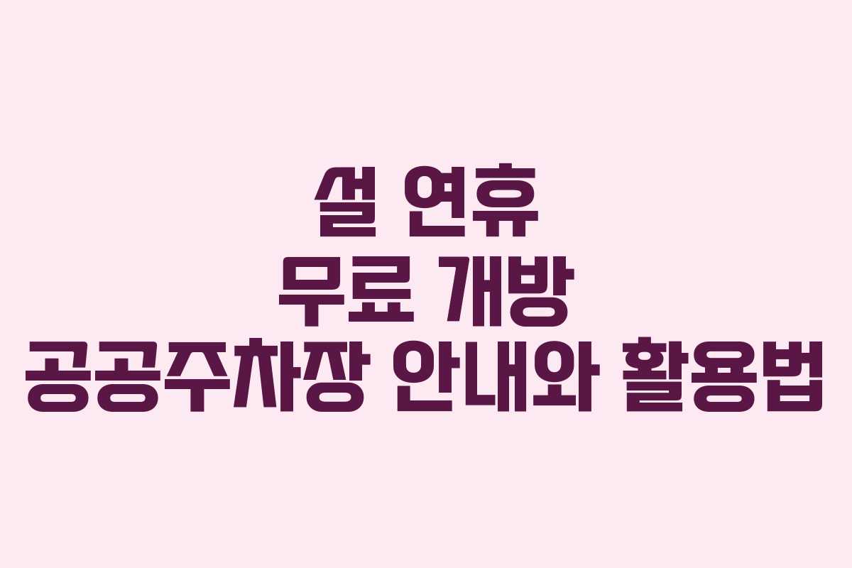 설 연휴 무료 개방 공공주차장 안내와 활용법