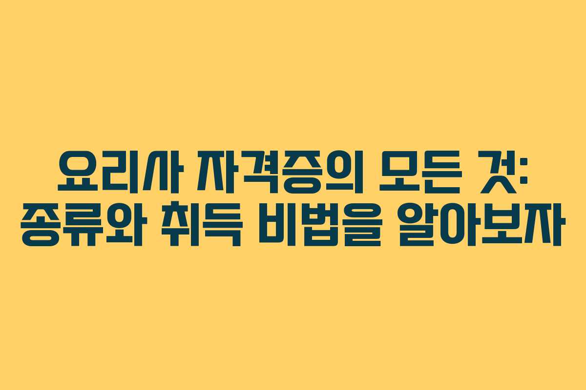요리사 자격증의 모든 것: 종류와 취득 비법을 알아보자