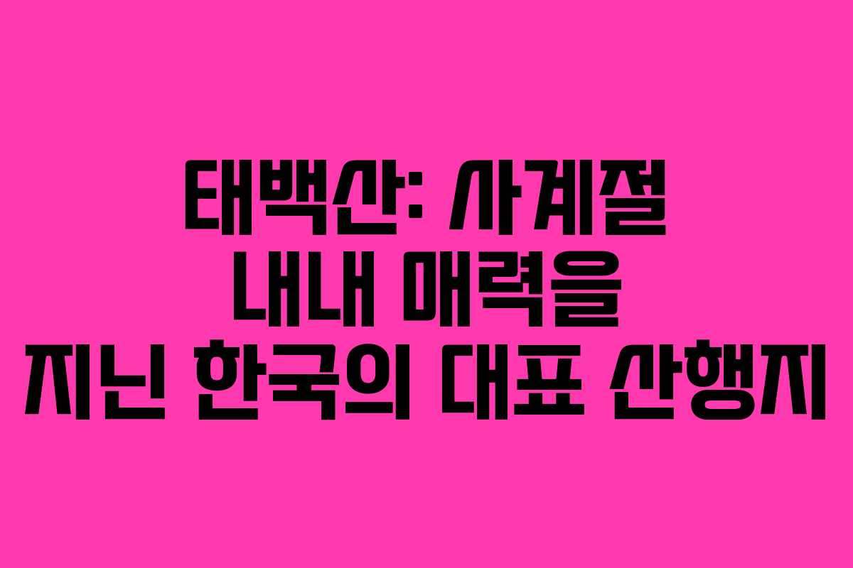 태백산: 사계절 내내 매력을 지닌 한국의 대표 산행지