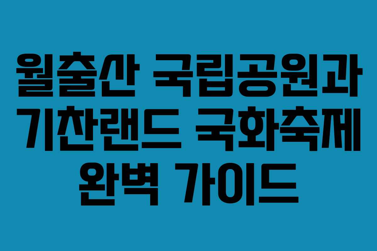 월출산 국립공원과 기찬랜드 국화축제 완벽 가이드