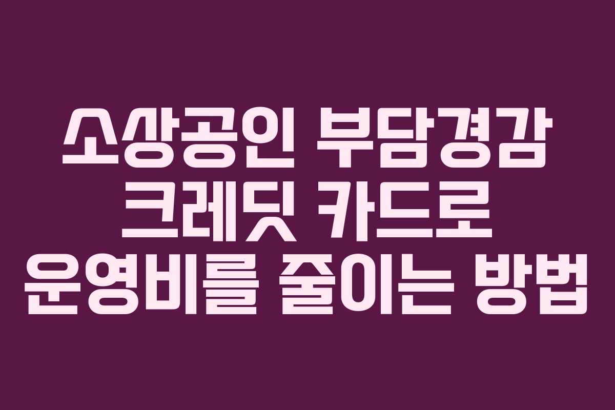 소상공인 부담경감 크레딧 카드로 운영비를 줄이는 방법