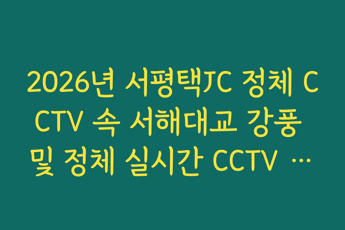 2026년 서평택JC 정체 CCTV 속 서해대교 강풍 및 정체 실시간 CCTV 확인