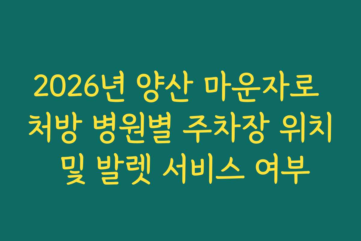 2026년 양산 마운자로 처방 병원별 주차장 위치 및 발렛 서비스 여부