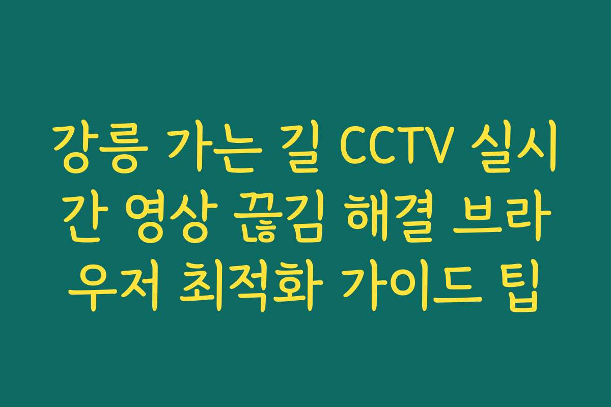 강릉 가는 길 CCTV 실시간 영상 끊김 해결 브라우저 최적화 가이드 팁