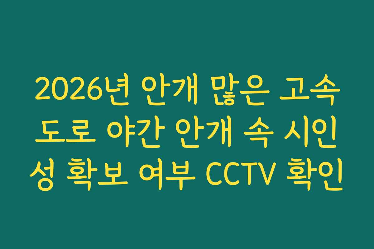 2026년 안개 많은 고속도로 야간 안개 속 시인성 확보 여부 CCTV 확인