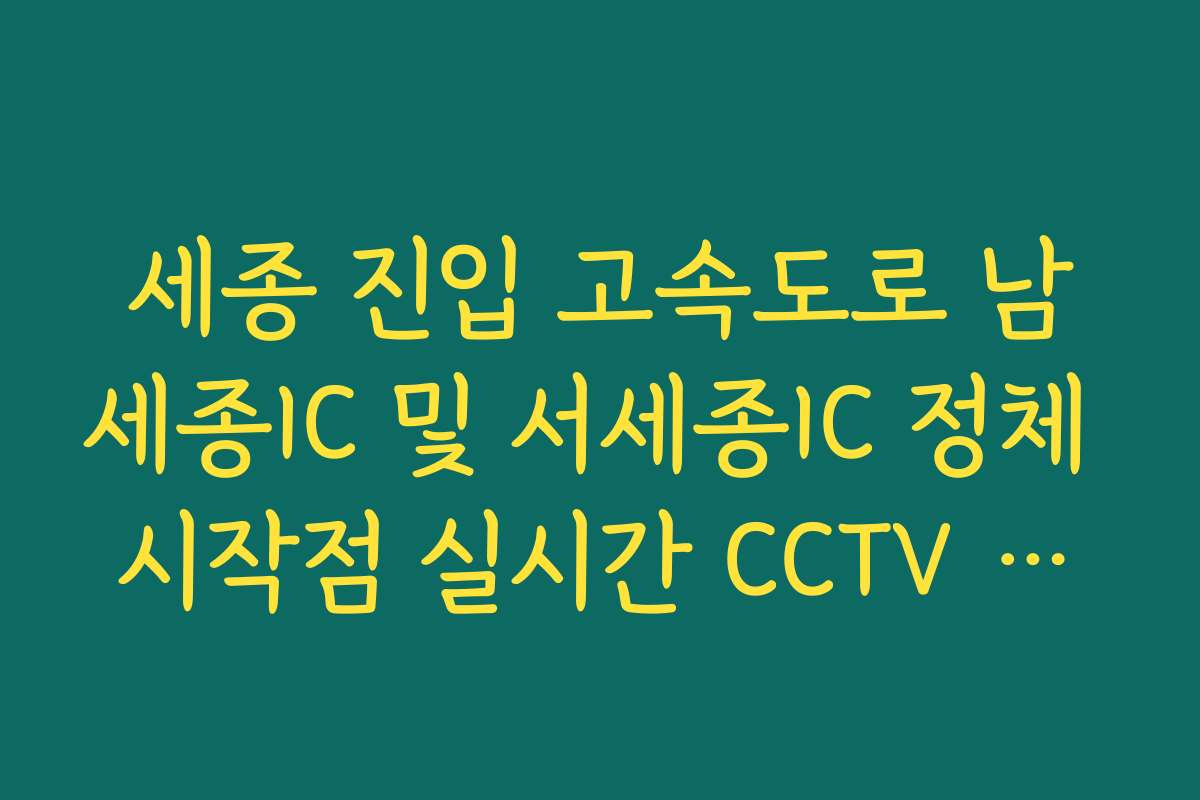 세종 진입 고속도로 남세종IC 및 서세종IC 정체 시작점 실시간 CCTV 확인