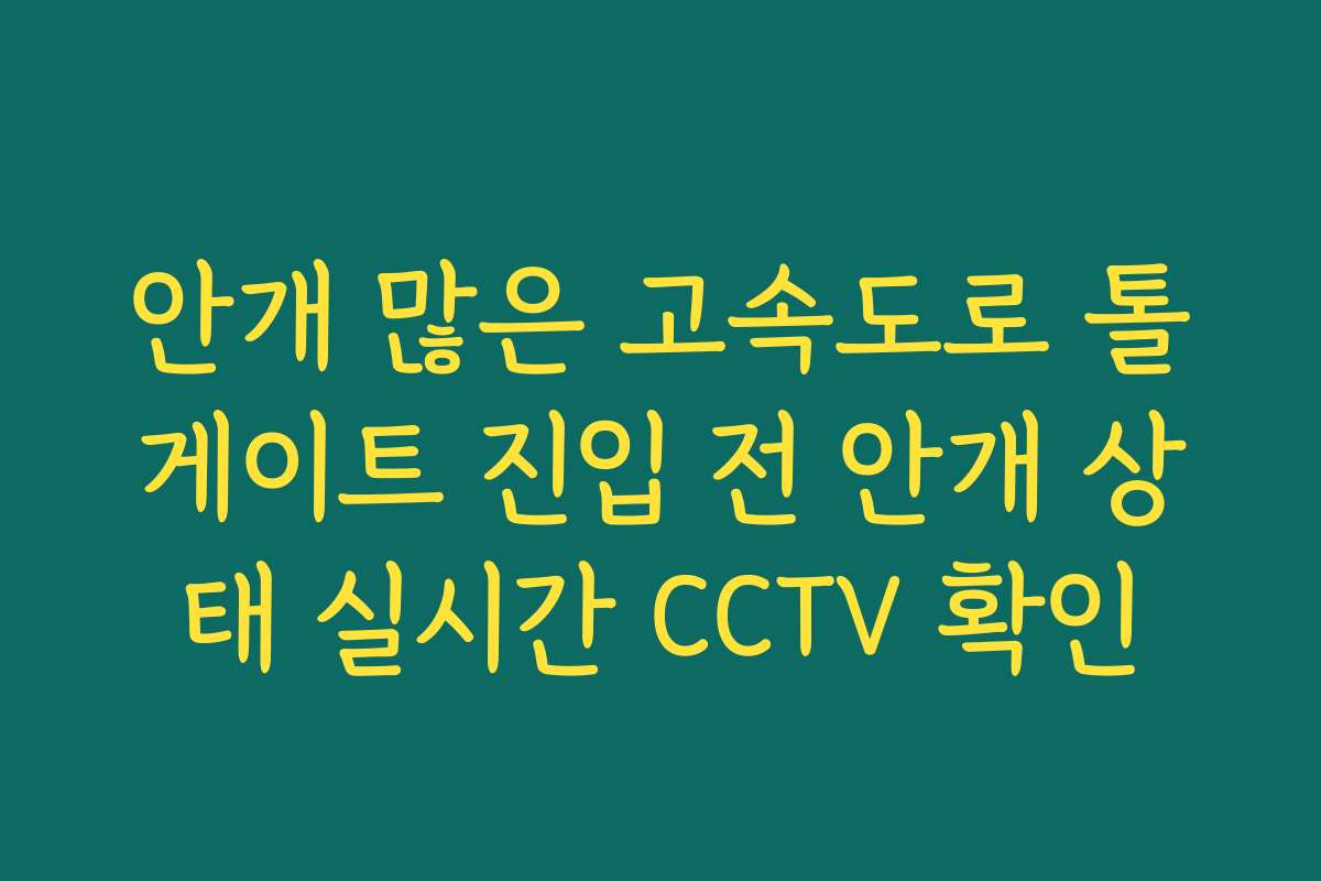 안개 많은 고속도로 톨게이트 진입 전 안개 상태 실시간 CCTV 확인