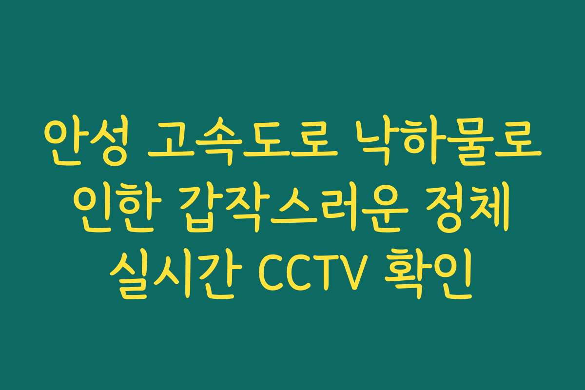 안성 고속도로 낙하물로 인한 갑작스러운 정체 실시간 CCTV 확인