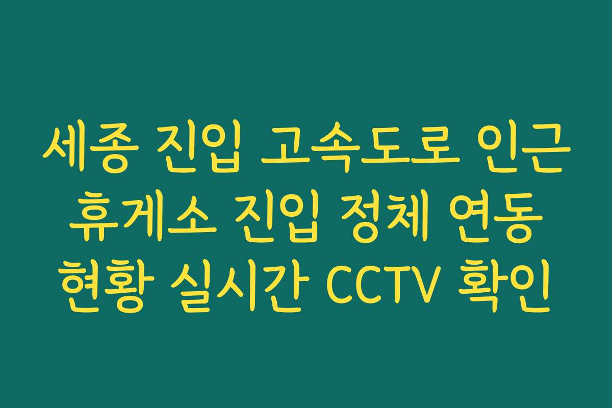 세종 진입 고속도로 인근 휴게소 진입 정체 연동 현황 실시간 CCTV 확인