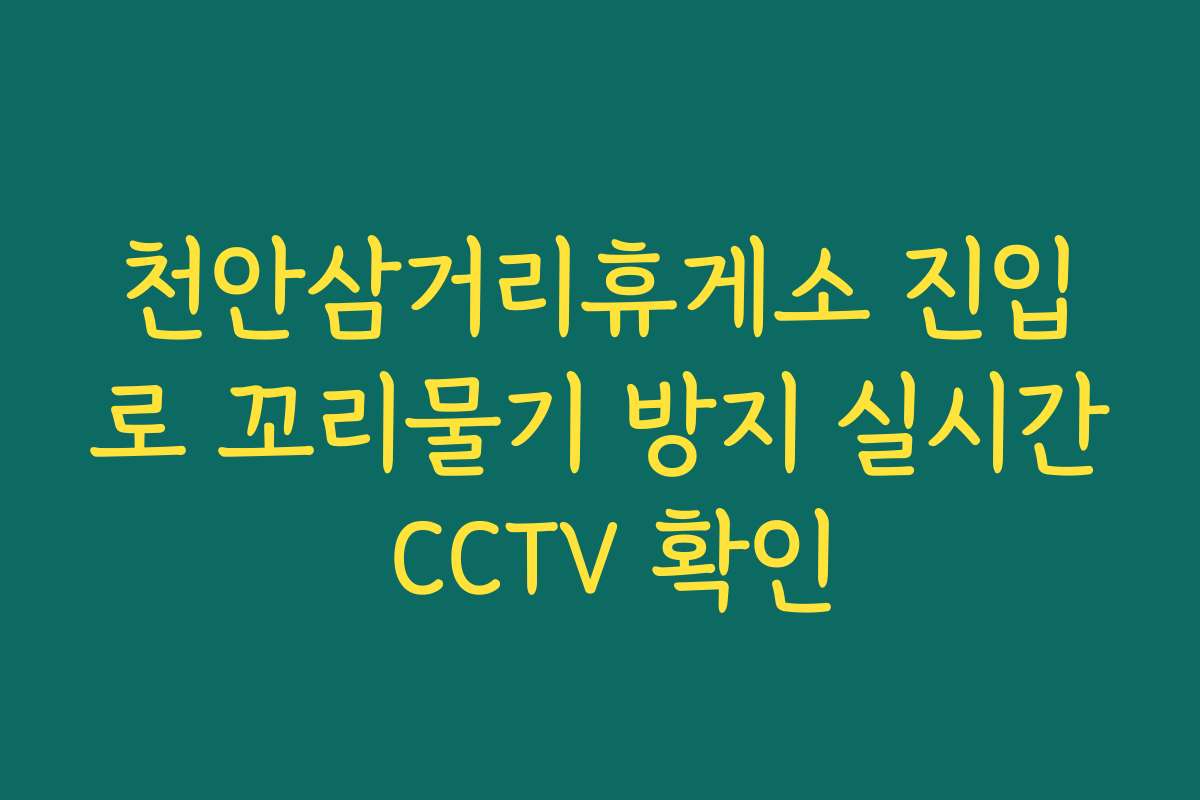 천안삼거리휴게소 진입로 꼬리물기 방지 실시간 CCTV 확인