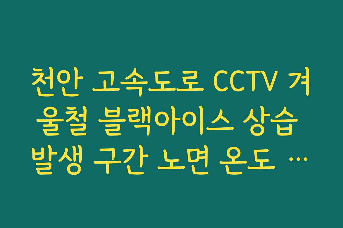 천안 고속도로 CCTV 겨울철 블랙아이스 상습 발생 구간 노면 온도 체크
