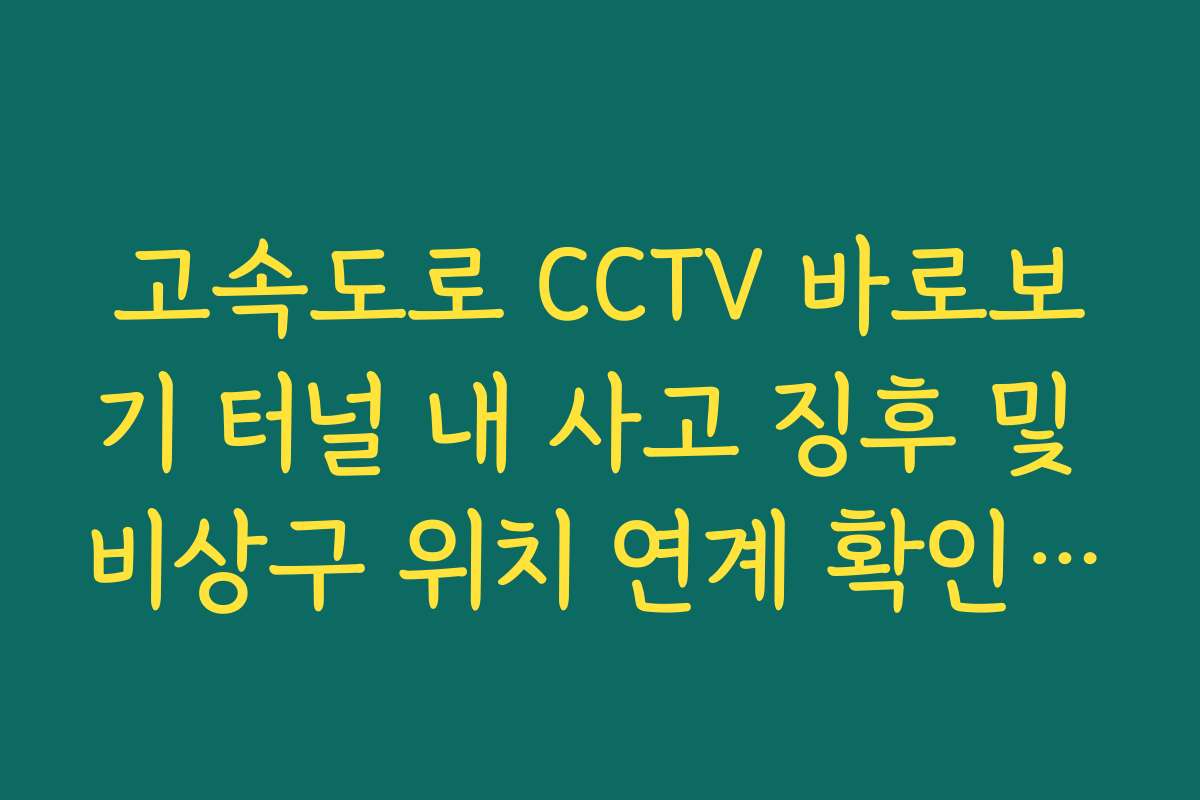 고속도로 CCTV 바로보기 터널 내 사고 징후 및 비상구 위치 연계 확인 방법