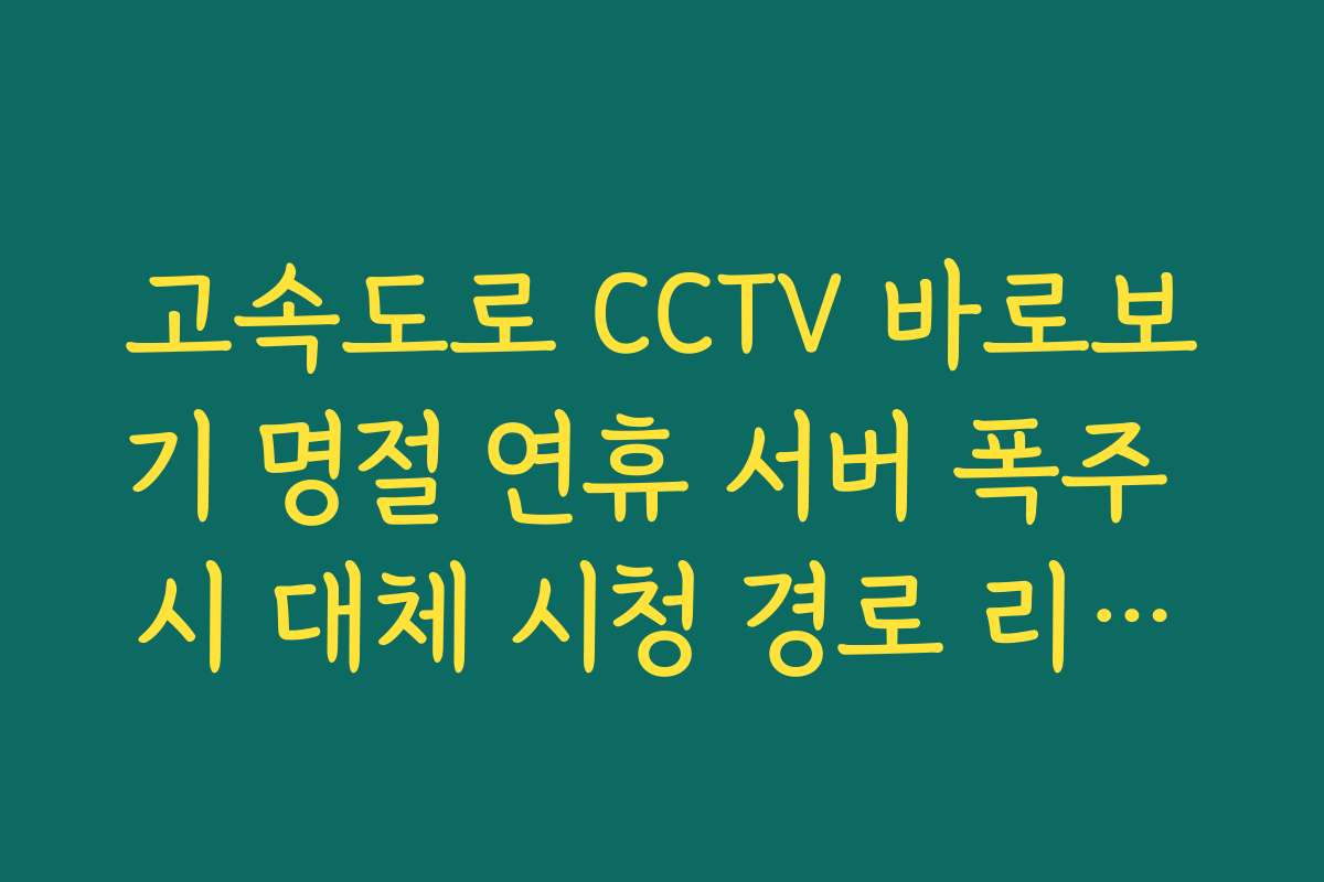 고속도로 CCTV 바로보기 명절 연휴 서버 폭주 시 대체 시청 경로 리스트
