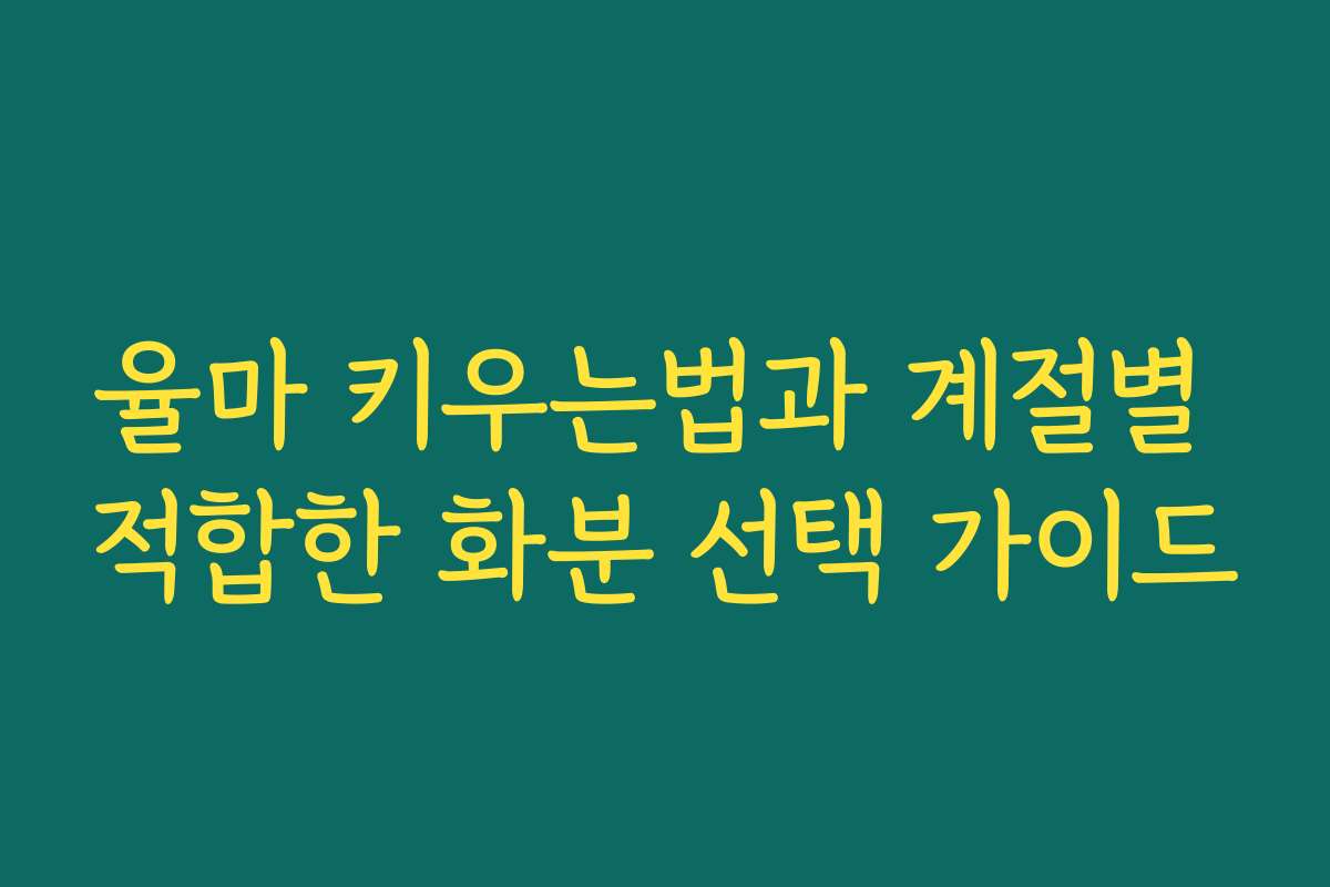 율마 키우는법과 계절별 적합한 화분 선택 가이드