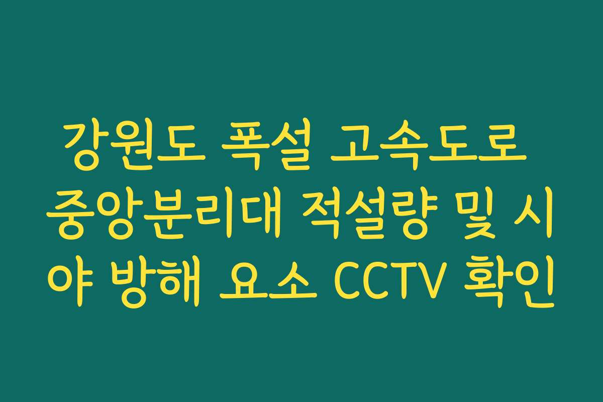 강원도 폭설 고속도로 중앙분리대 적설량 및 시야 방해 요소 CCTV 확인
