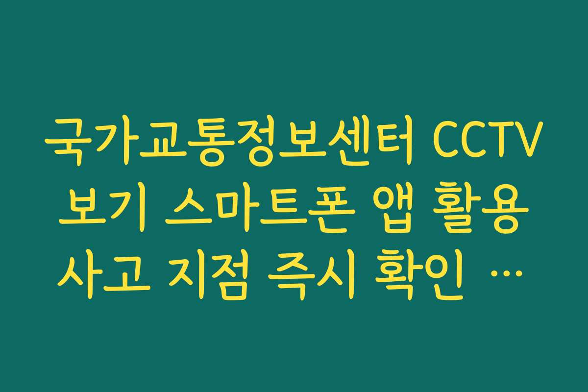 국가교통정보센터 CCTV 보기 스마트폰 앱 활용 사고 지점 즉시 확인 방법