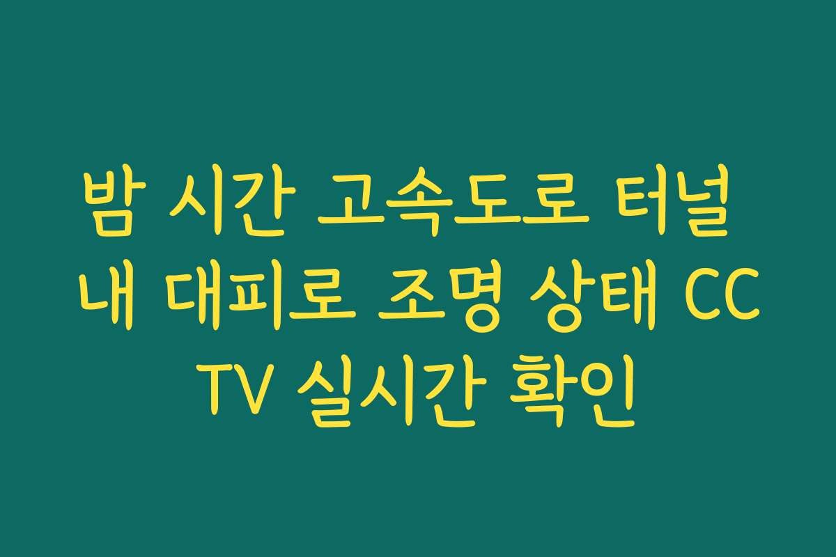 밤 시간 고속도로 터널 내 대피로 조명 상태 CCTV 실시간 확인