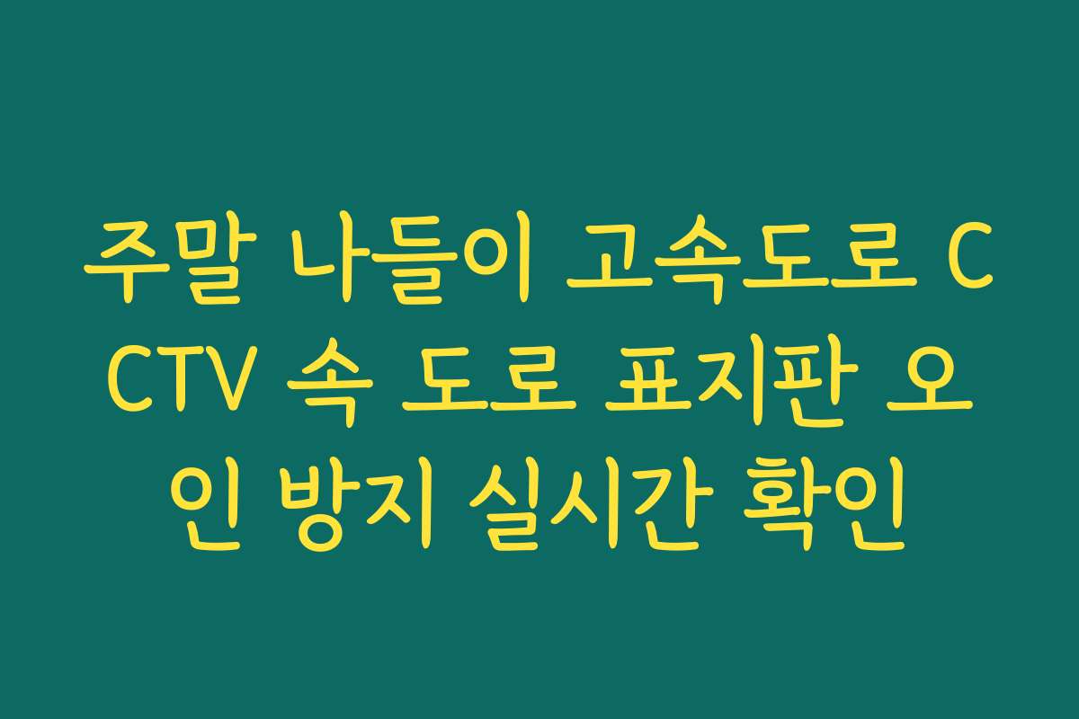 주말 나들이 고속도로 CCTV 속 도로 표지판 오인 방지 실시간 확인