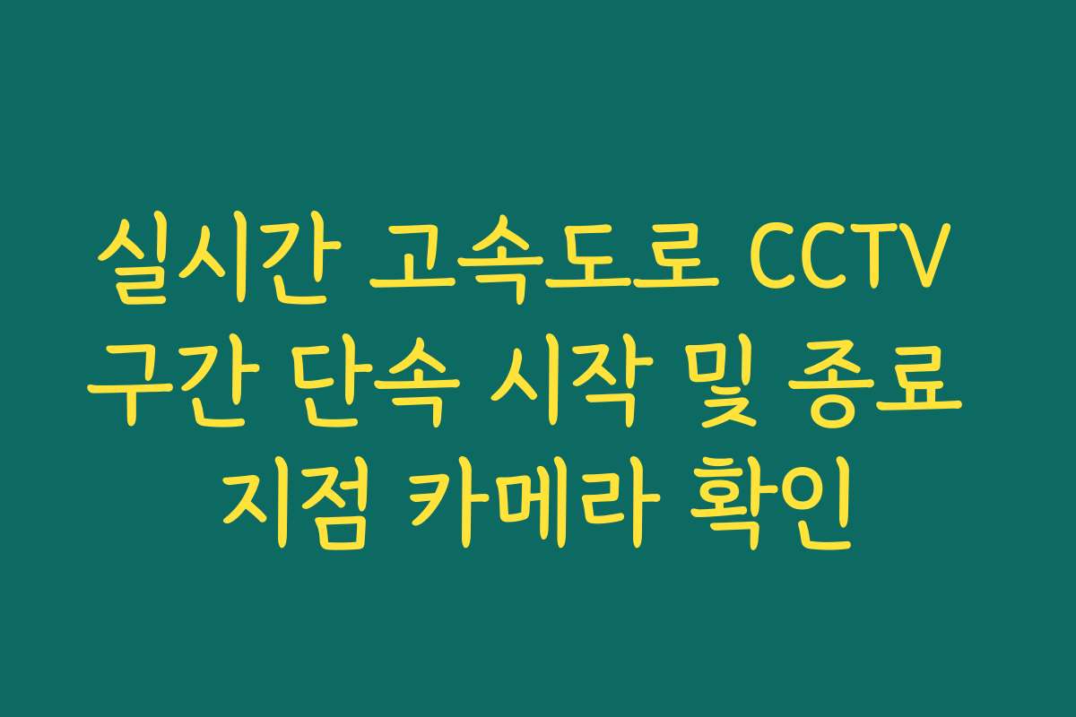 실시간 고속도로 CCTV 구간 단속 시작 및 종료 지점 카메라 확인