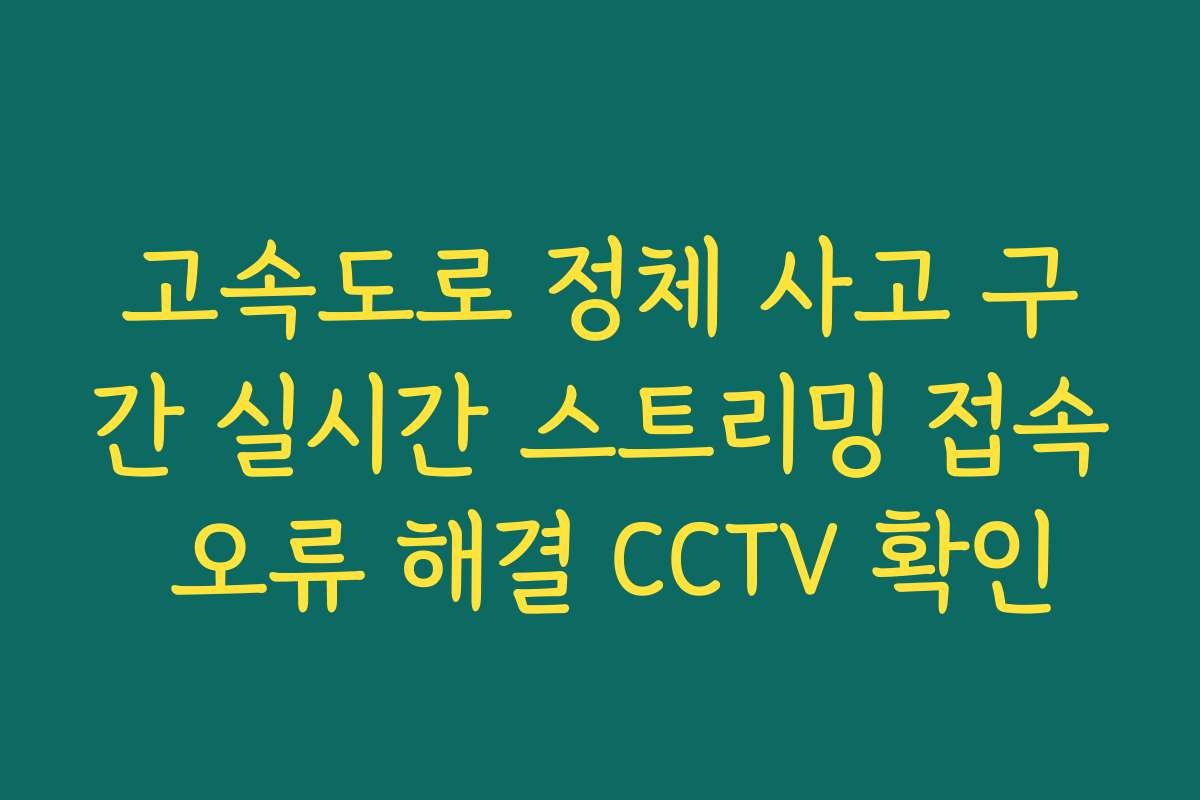고속도로 정체 사고 구간 실시간 스트리밍 접속 오류 해결 CCTV 확인