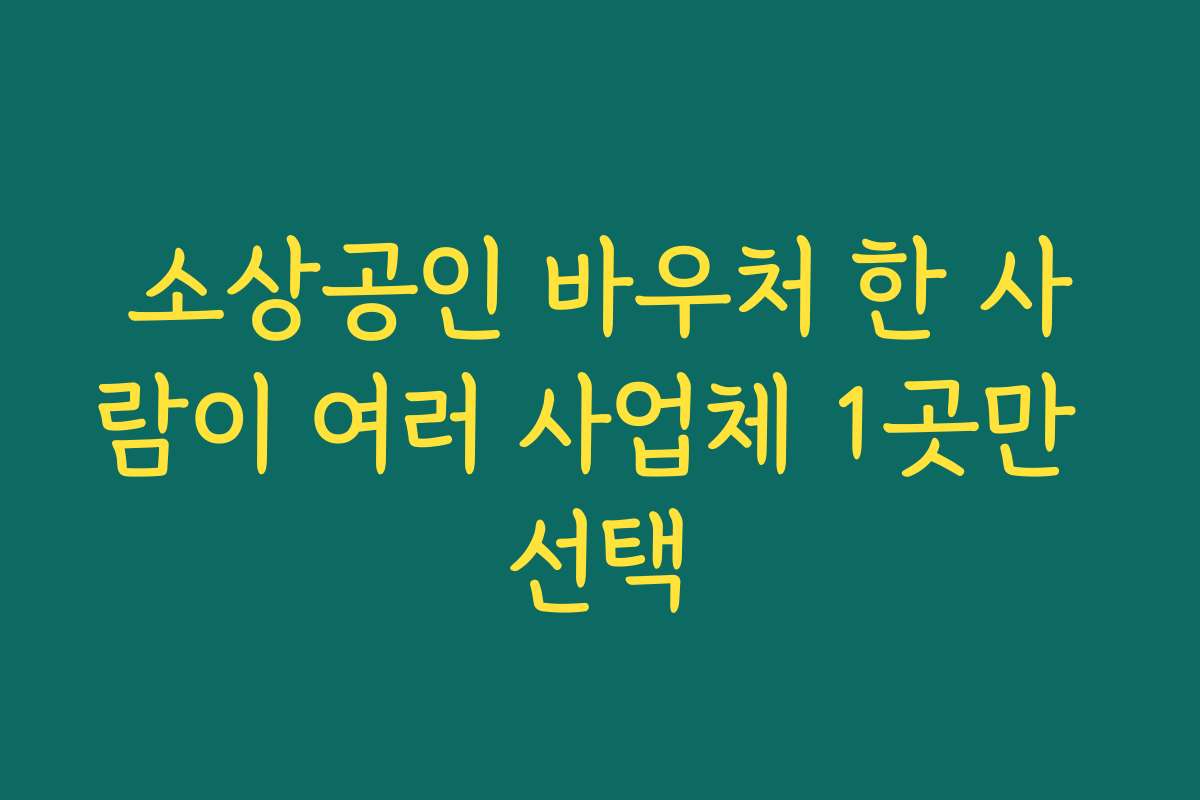 소상공인 바우처 한 사람이 여러 사업체 1곳만 선택