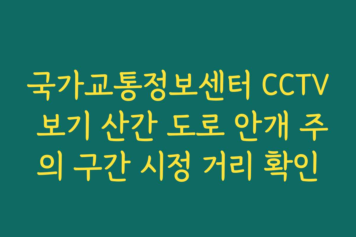 국가교통정보센터 CCTV 보기 산간 도로 안개 주의 구간 시정 거리 확인