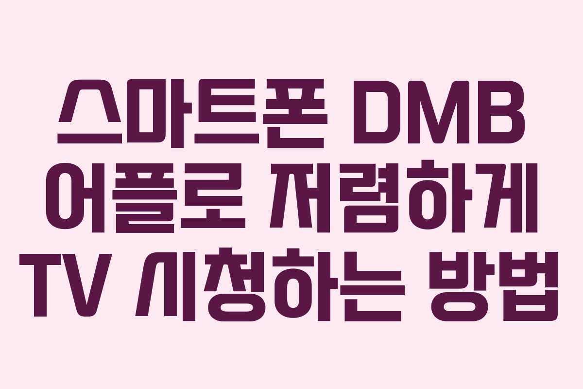 스마트폰 DMB 어플로 저렴하게 TV 시청하는 방법