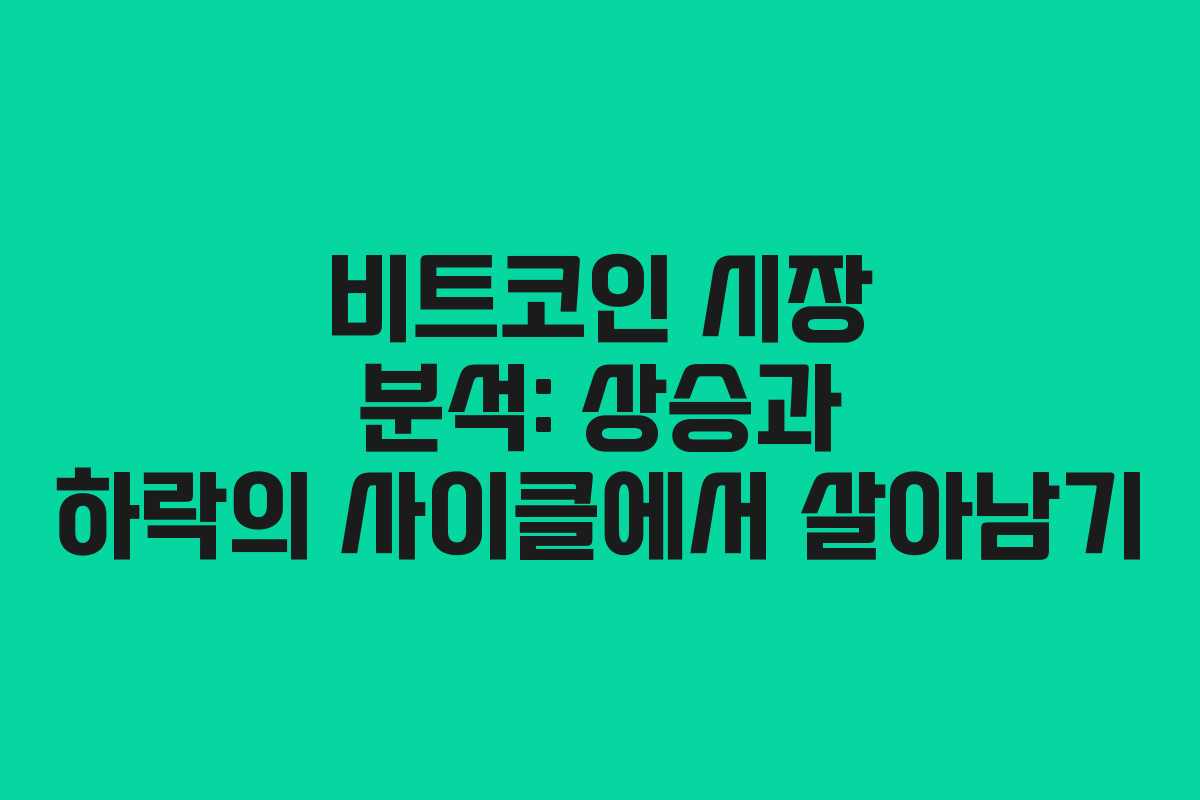 비트코인 시장 분석: 상승과 하락의 사이클에서 살아남기
