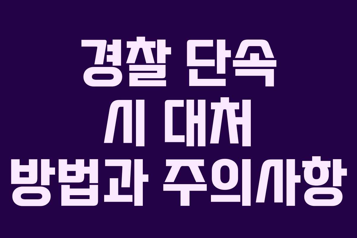 경찰 단속 시 대처 방법과 주의사항