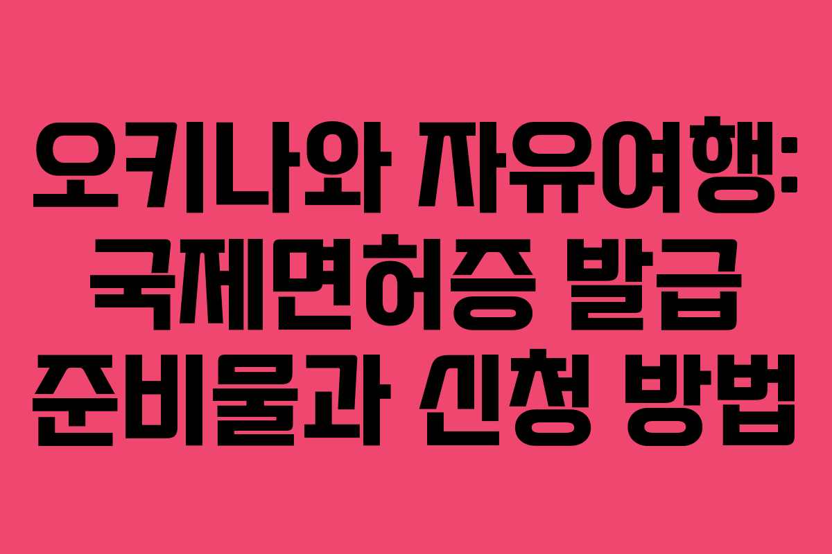 오키나와 자유여행: 국제면허증 발급 준비물과 신청 방법
