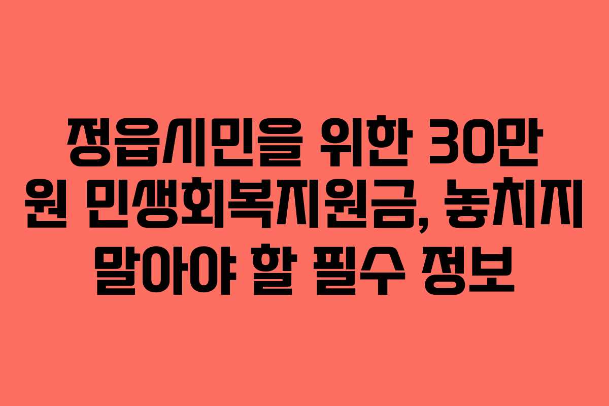 정읍시민을 위한 30만 원 민생회복지원금, 놓치지 말아야 할 필수 정보
