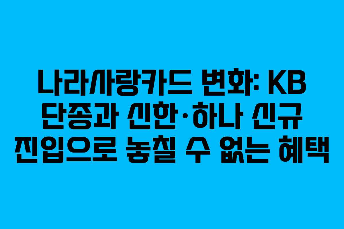 나라사랑카드 변화: KB 단종과 신한·하나 신규 진입으로 놓칠 수 없는 혜택