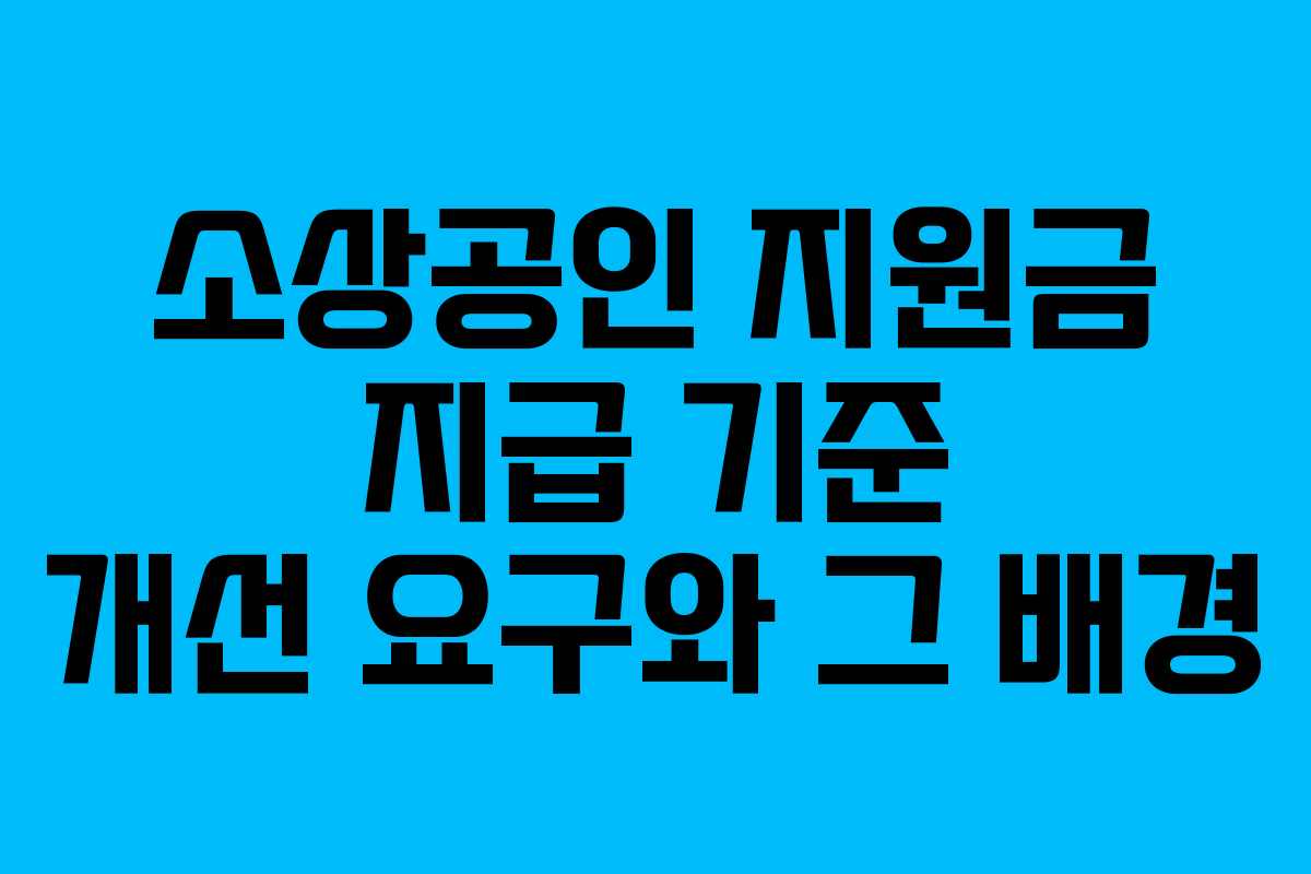 소상공인 지원금 지급 기준 개선 요구와 그 배경