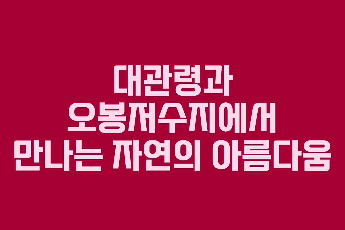 대관령과 오봉저수지에서 만나는 자연의 아름다움