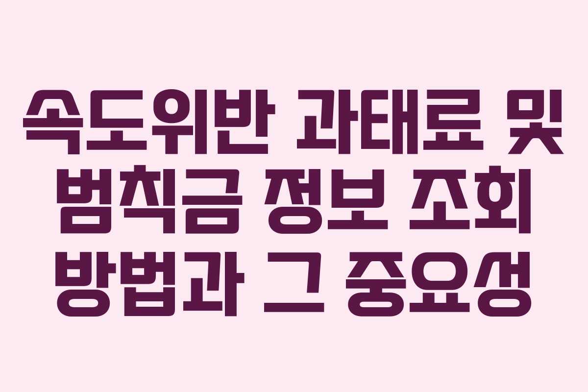 속도위반 과태료 및 범칙금 정보 조회 방법과 그 중요성