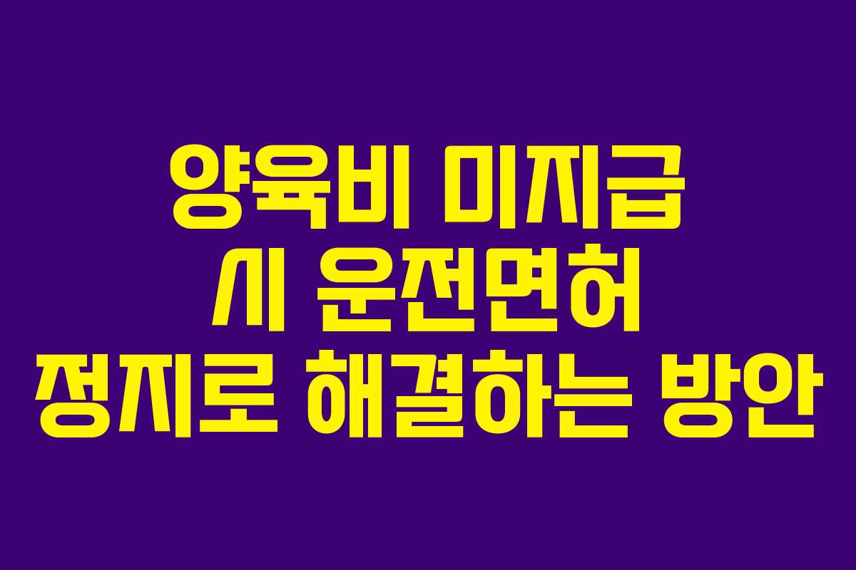양육비 미지급 시 운전면허 정지로 해결하는 방안