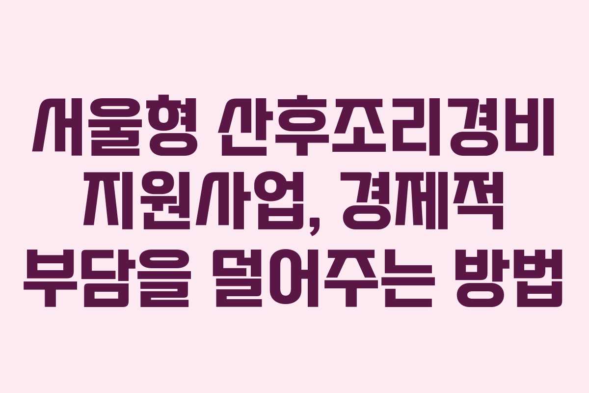 서울형 산후조리경비 지원사업, 경제적 부담을 덜어주는 방법