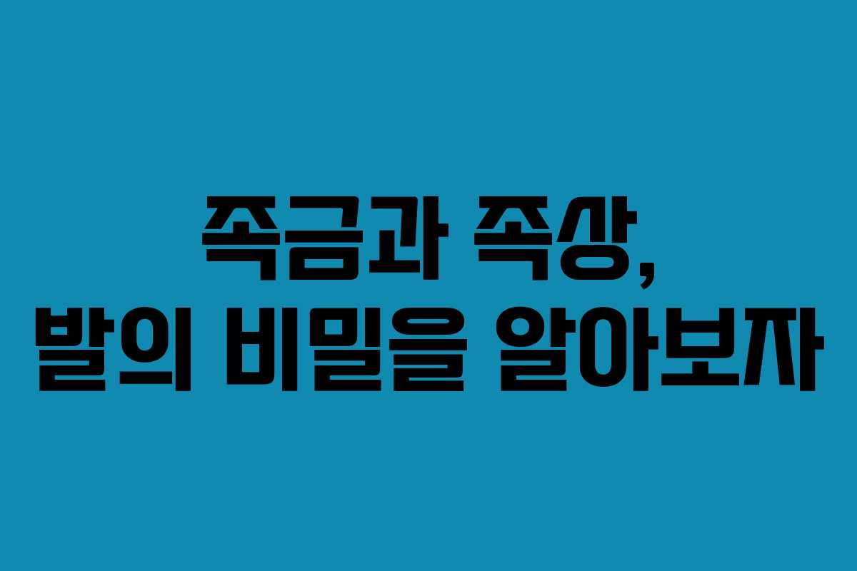 족금과 족상, 발의 비밀을 알아보자