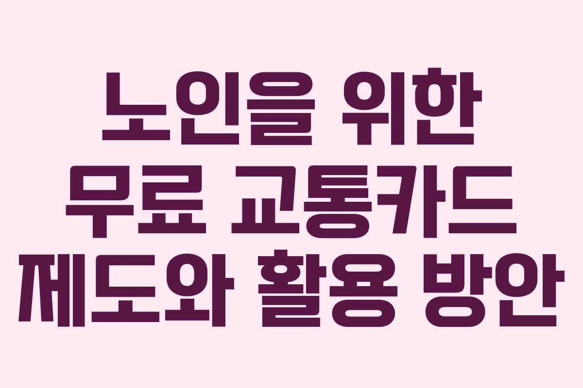 노인을 위한 무료 교통카드 제도와 활용 방안