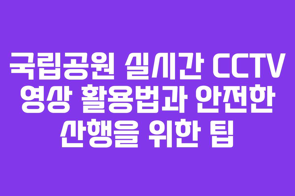 국립공원 실시간 CCTV 영상 활용법과 안전한 산행을 위한 팁