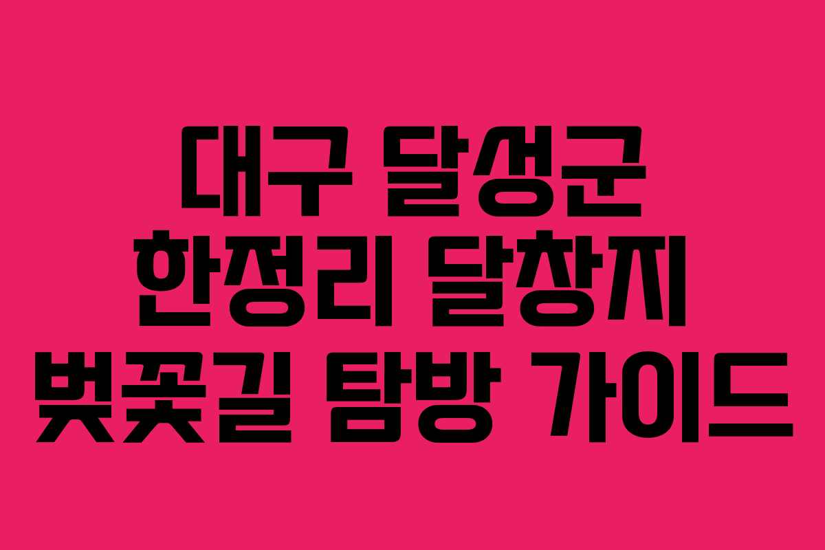 대구 달성군 한정리 달창지 벚꽃길 탐방 가이드