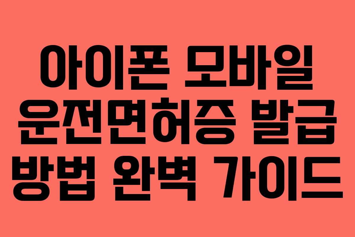 아이폰 모바일 운전면허증 발급 방법 완벽 가이드