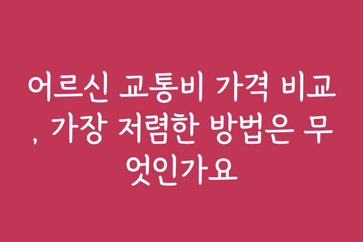 어르신 교통비 가격 비교, 가장 저렴한 방법은 무엇인가요